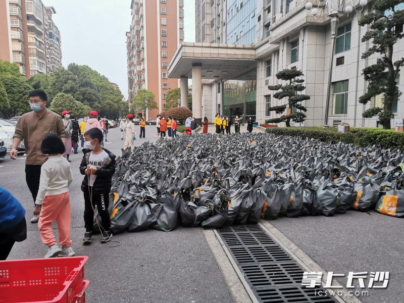 780份蔬菜包送到了湘林小區(qū)院內(nèi)。長(zhǎng)沙晚報(bào)實(shí)習(xí)生 羅楊 攝